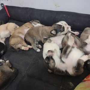 Meet your Posher, Jennie kathy